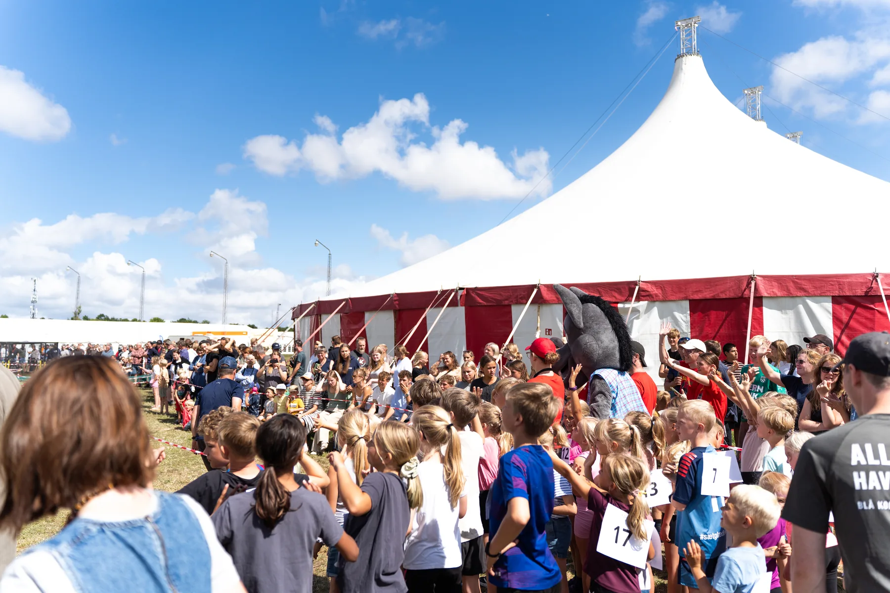 Sommerliv omkring Storhytten